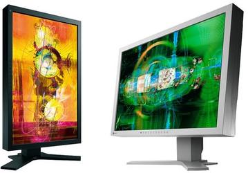 EIZO FlexScan SX2462W — 24" монитор с разъемом Display Port