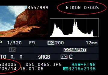 «Утечка» на сайте Nikon подтверждает скорый выход новой зеркальной камеры?