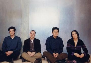 Magnetic Fields выпустит альбом Realism
