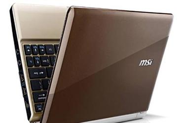 Основой для нетбука MSI Wind U160 стала платформа Intel Pine Trail