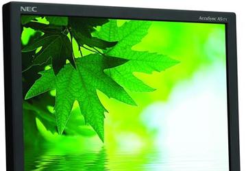 Монитор AS171 с пониженным энергопотреблением пополнил серию NEC AccuSync 