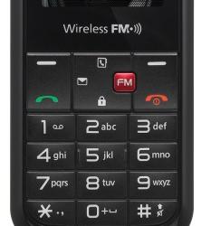 Бюджетный мобильный телефон LG GS107