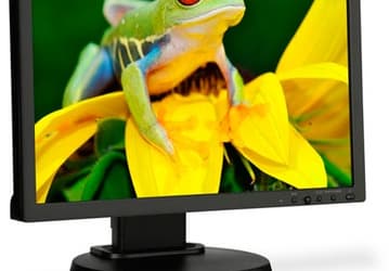 NEC оснащает мониторы MultiSync EA192M и E201W портами DisplayPort