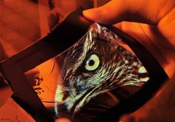 Показан шестидюймовый гибридный дисплей FlexUPD AMOLED