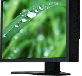 В семействе специализированных дисплеев NEC пополнение: SpectraView 231