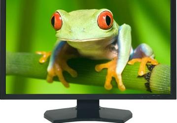 Пополнение в ряду мониторов NEC с IPS-панелью: MultiSync PA231W