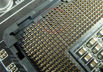 Процессорное гнездо LGA 1155 тоже подвержено выгоранию контактов? 