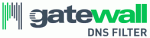 Text Filtering для GateWall DNS Filter - новое слово в области фильтрации для интернет-провайдеров