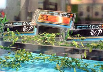 Computex 2011: яркие модули памяти WinChip