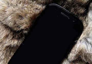 Новый Google Nexus получит процессор с частотой до 1,5 ГГц и ОС Android 4.0?