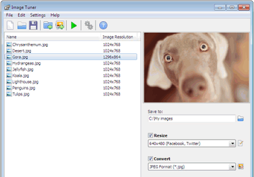 Графика: Image Tuner v.1.9