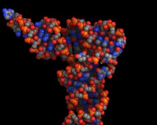 Molecules 2.1 — трехмерные модели химических соединений на iPhone