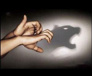 Hand-shadow 2013.5  — театр теней на Android