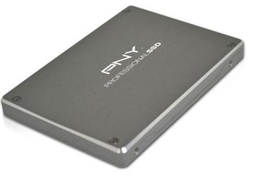PNY использует в твердотельных накопителях серии Professional SSD контроллеры SandForce SF-2281 и SF-2282 