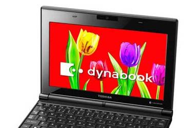 Процессор Intel Atom N2800 прописался в нетбуке Toshiba Dynabook N301