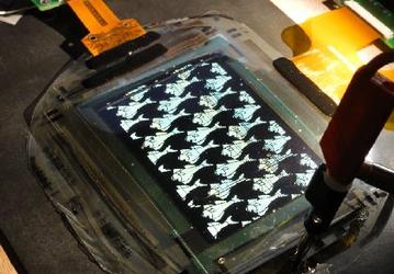 Европейские ученые хотят создать гибкие дисплеи OLED