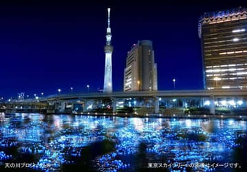 Компания Panasonic спустила на воду в районе Токио 100000 плавучих светодиодных ламп