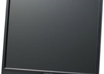 Princeton PTFB/WYF-19 — монитор для ценителей «квадратов»