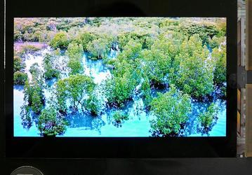 У Japan Display готов дисплей Full HD типа OLED размером 5,2 дюйма