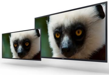 У Sony готовы прототипы мониторов 4K на базе панелей типа OLED и новые модели серии Trimaster EL