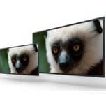 У Sony готовы прототипы мониторов 4K на базе панелей типа OLED и новые модели серии Trimaster EL
