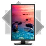 Ассортимент NEC пополнился профессиональным монитором начального уровня MultiSync P242W-BK