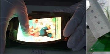 Специалисты китайской компании New Vision Optoelectronics создали гибкую панель AMOLED размером 4,8 дюйма, которая весит 1 г