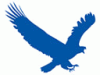 EagleGet v.1.1.7.2 - бесплатный диспетчер закачек
