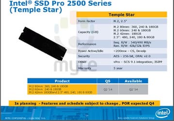 В 2014 году Intel выпустит SSD Temple Star, Pleasantdale и Fultondale