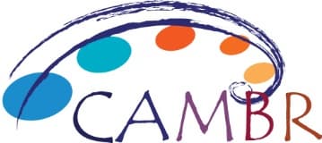 Cambrios и GVision вместе разработают жидкокристаллические дисплеи с интегрированными сенсорными экранами на основе материала ClearOhm