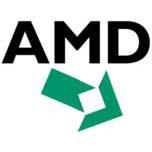 По мнению агентства Fitch, AMD близится к банкротству