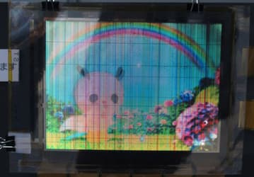 Специалистами NHK создан гибкий восьмидюймовый дисплей OLED, в котором используются транзисторы a-IGZO
