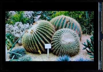Japan Display инвестирует в производство экранов OLED, рассчитывая в будущем году начать выпуск дисплеев Full HD размером 5,2 дюйма