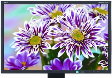 Ассортимент NEC пополнился 22-дюймовым монитором MultiSync E223W 
