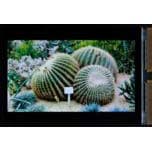 Japan Display инвестирует в производство экранов OLED, рассчитывая в будущем году начать выпуск дисплеев Full HD размером 5,2 дюйма