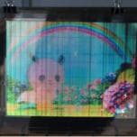 Специалистами NHK создан гибкий восьмидюймовый дисплей OLED, в котором используются транзисторы a-IGZO