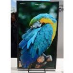 Компания Samsung показала на IFA 2013 монитор 4K с экраном размером 31,5 дюйма