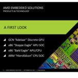 На 2014 год AMD планирует выпуск SoC Hierofalcon, APU и CPU Bald Eagle, APU Steppe Eagle и GPU Adelaar