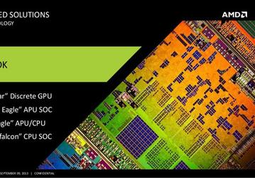 На 2014 год AMD планирует выпуск SoC Hierofalcon, APU и CPU Bald Eagle, APU Steppe Eagle и GPU Adelaar