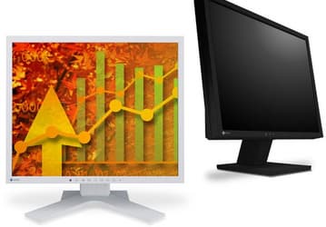 В мониторе Eizo FlexScan S1933 на базе панели IPS применены приемы, снижающие утомление глаз