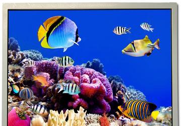 Дисплеи  Kyocera TCG104XGLP и TCG121XGLP характеризуются яркостью 1300 и 1200 кд/м²