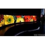 Panasonic рассчитывает начать продажи телевизоров и мониторов OLED в этом году