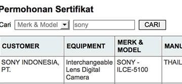 В ближайшее время может быть представлена камера Sony A5100 с байонетом Sony E