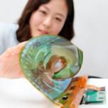 LG Display показала гибкий и прозрачный 18-дюймовый дисплей OLED