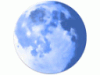 Pale Moon v.24.4.0 - оптимизированная версия веб-браузера FireFox