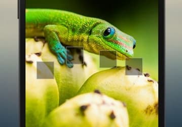 Вышло обновление Bing 5.0.1 для Android