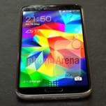Фото дня: смартфон Samsung Galaxy S5 Prime