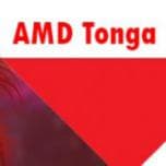 GPU AMD Tonga будет относиться к верхнему, а не среднему сегменту; 3D-карты на его основе сменят модели Radeon R9 280 и R9 280X