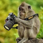За квартал Nikon удалось продать более миллиона камер со сменными объективами и почти полтора миллиона объективов к ним