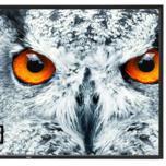 84-дюймовый дисплей NEC MultiSync X841UHD имеет разрешение 3840 x 2160 пикселей